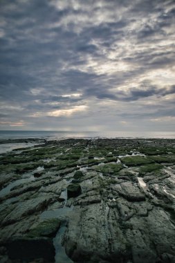 Gün batımında bulutlu bir gökyüzünün altında kayaların üzerinde yosunlar olan kayalık bir sahilin dikey görüntüsü.