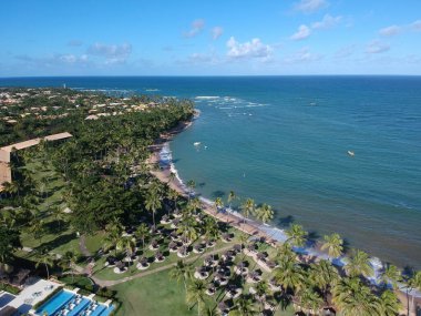 Pakarang sahilinin güzel palmiye ağaçlarıyla yüksek açılı bir görüntüsü.