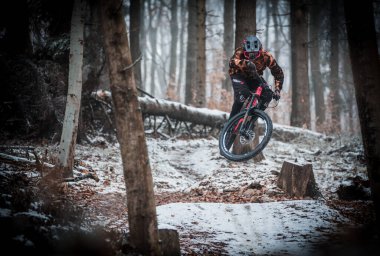 A closeup of a person riding a bicycle in a forest