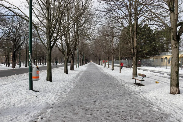 Sentier Vide Couvert Neige Entouré Arbres Secs Nus Bancs Enneigés — Photo