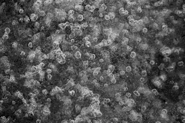 Una Toma Escala Grises Partículas Bajo Microscopio —  Fotos de Stock