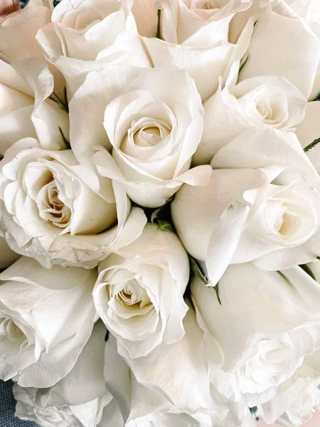 Ένα Κοντινό Πλάνο Λευκά Τριαντάφυλλα — Φωτογραφία Αρχείου
