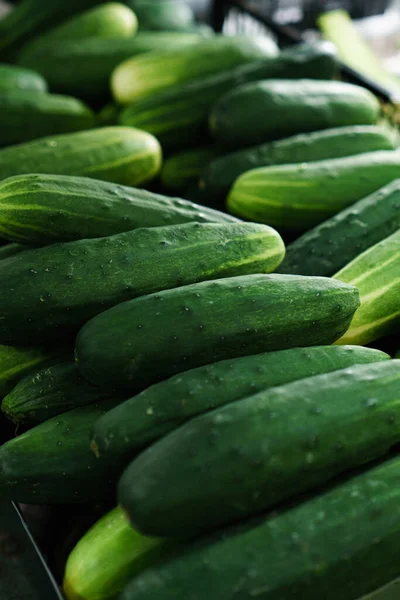 Close Vertical Pepino Fresco Mercado — Fotografia de Stock