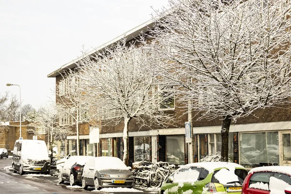 Nieve Las Calles Del Barrio Utrecht Lombok Con Árboles Estériles — Foto de Stock