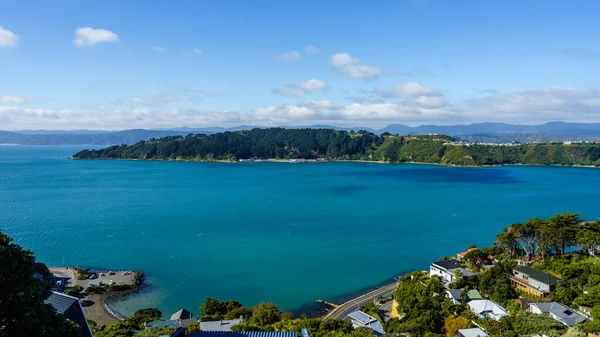 Una Splendida Vista Dell Isola Dell Oceano Blu Wellington Nuova — Foto Stock