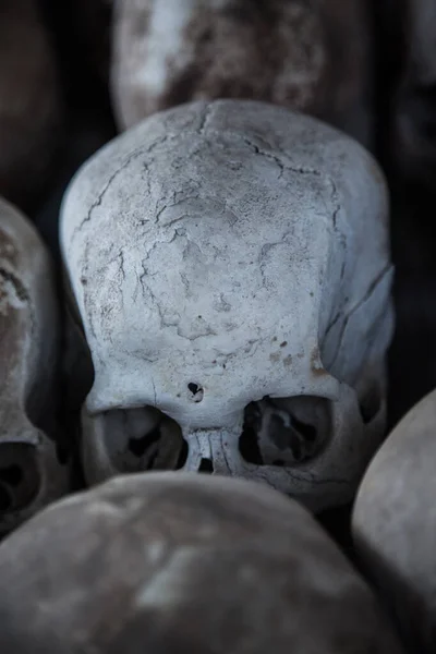 人間の頭蓋骨の垂直ショット — ストック写真