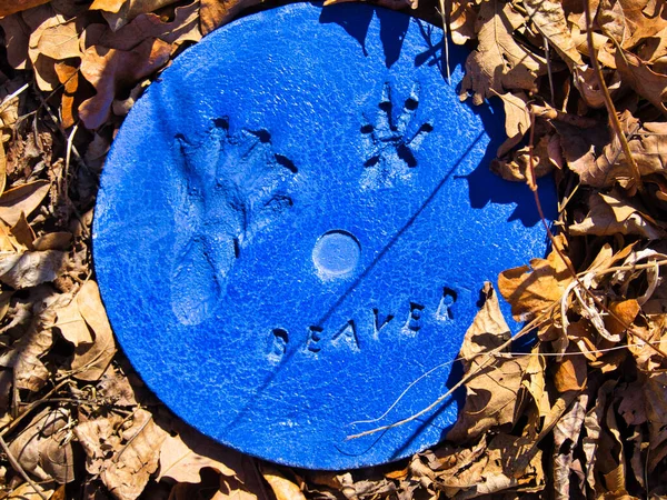 Círculo Plástico Azul Com Pegadas Castor Overland Park Eua — Fotografia de Stock
