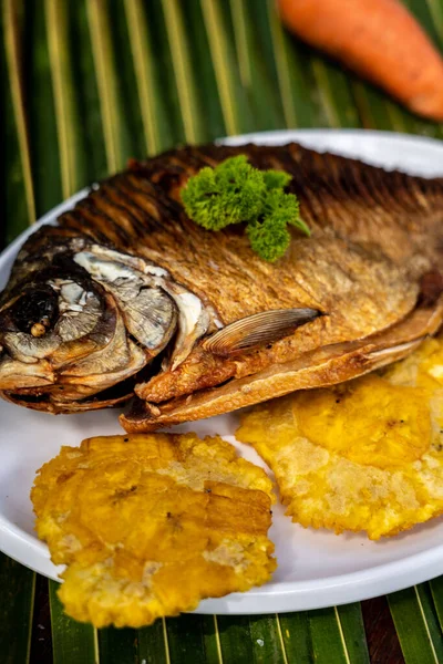 Piękne Ujęcie Smażonej Ryby Tokamieni — Zdjęcie stockowe