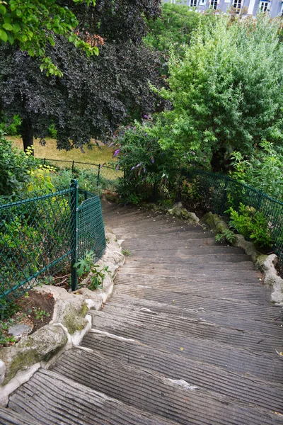 Schöne Aufnahme Eines Kaskadenweges Zwischen Japanischem Waldgras Park Paris Frankreich — Stockfoto