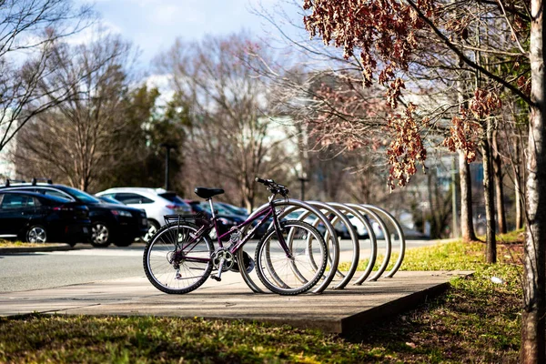 Bikes on a nice bike rack along with trees and grass