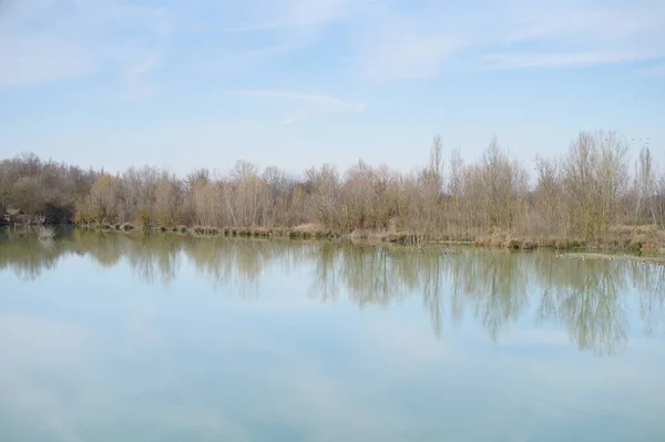 A beautiful landscape view of lake water with trees around against a blue sky in San Giorgio di Piano in Italy