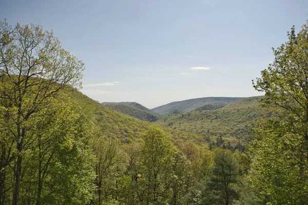 Eine Wunderschöne Landschaft Mit Grünen Bergen Und Bäumen Vor Blauem — Stockfoto