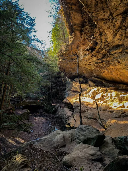 Vertikal Bild Grotta Skogen Med Liten Stenbro — Stockfoto