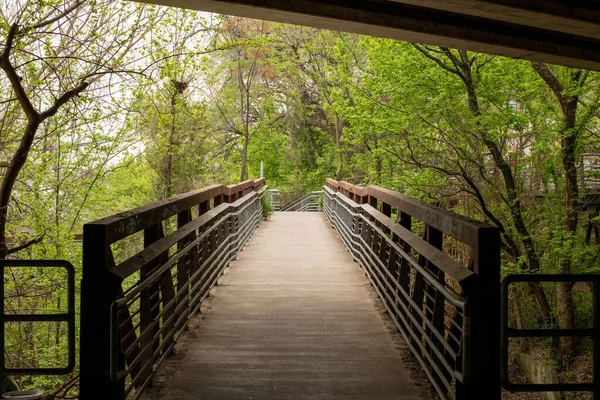 Una Hermosa Toma Puente Peatonal Parque Con Árboles Hojas Verdes — Foto de Stock