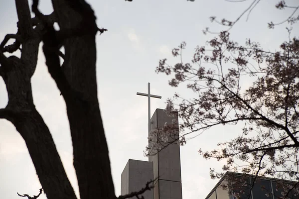 Low Angle Shot Flowering Tree Modern White Church Steeple Cross — Stock Photo, Image