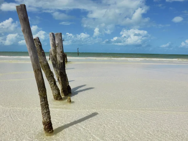 孤独なカリブ海のビーチで古い橋の木のクローズアップショット — ストック写真