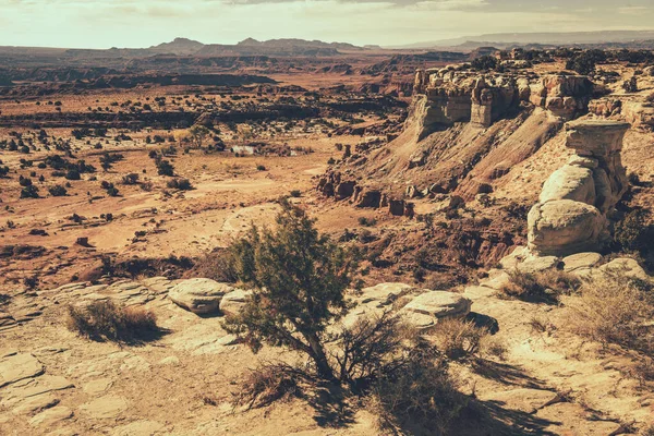 Une Belle Vue Sur Désert Rocheux Par Une Journée Ensoleillée — Photo