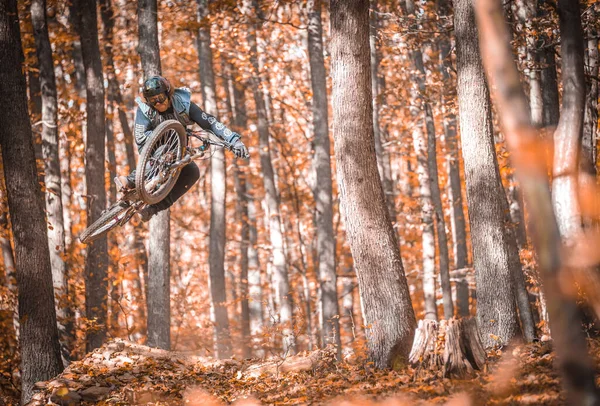 在斯洛伐克的秋天 一个骑自行车 头戴弹弓的男人在森林里拍了一张漂亮的照片 — 图库照片