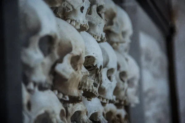 Stack Human Skulls Jaws Glass — Stock Photo, Image