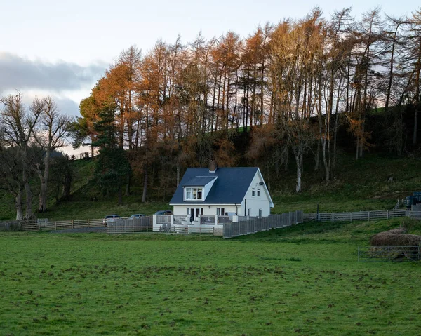 Beautiful View House Surrounded Trees Green Field — Stock Photo, Image