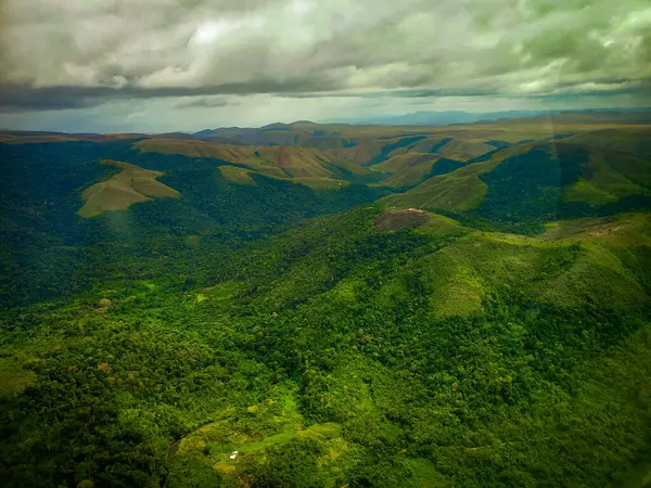 Luftaufnahme Eines Schönen Waldes Einem Bewölkten Tag — Stockfoto