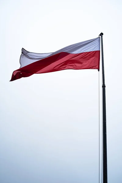 Вертикальный Снимок Польского Государственного Флага Белом Фоне — стоковое фото