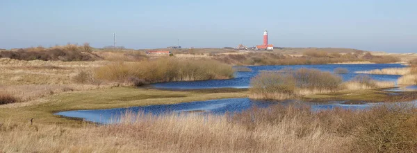 Táj Világítótorony Texel Északi Részén Texel Island Hollandia — Stock Fotó