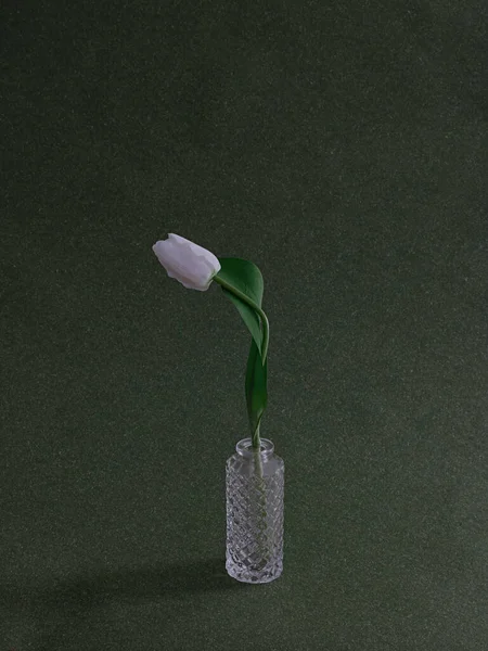 Vertical Shot Poppy Glass Vase — Stock Photo, Image