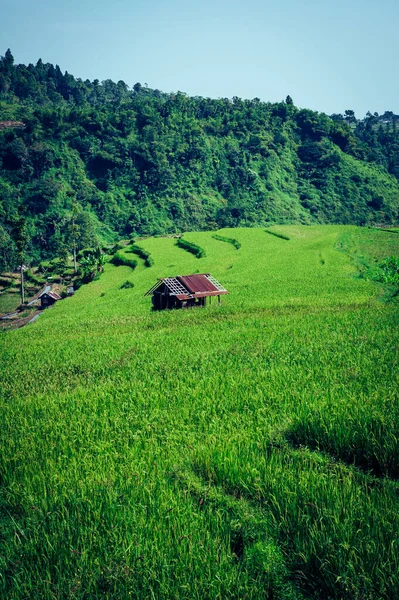 Una Pequeña Casa Campo Gran Paisaje Verde Con Montaña Verde —  Fotos de Stock