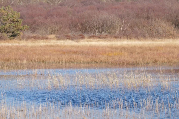 Paysage Avec Vue Sur Rivière Bleue Parc National Duinen Van — Photo