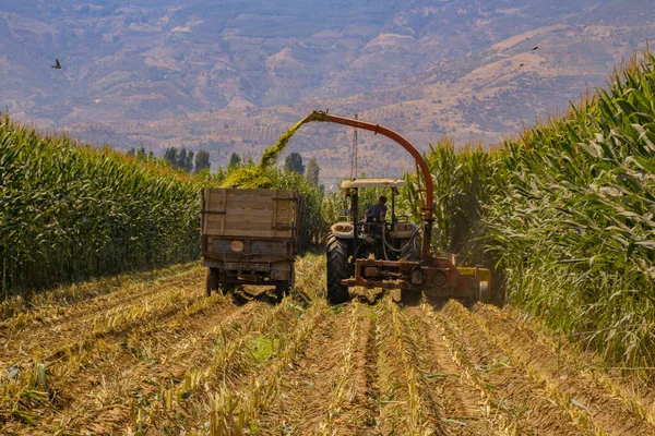 Tractor Recogiendo Cultivos Una Granja Turquía — Foto de Stock