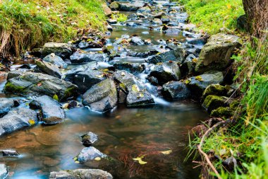 Portekiz 'in kuzeyindeki Peneda Geres Ulusal Parkı' ndan küçük bir dağ nehri.