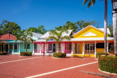 Güneşli bir günde, palmiye ağaçlarıyla çevrili güzel renkli binaların yakın çekimi.