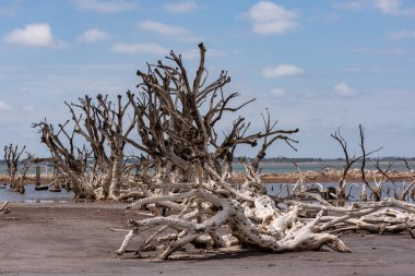 1985 'teki büyük sel felaketinden sonra terk edilmiş köy Epecuen' in mavi bulutlu gökyüzünün altında bir yakın çekim.