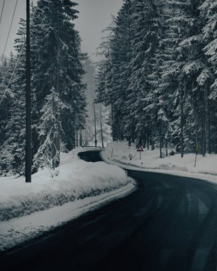 Karlı ve kasvetli bir günde ağaçlarla birlikte yolun dikey bir görüntüsü.