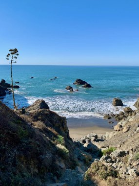 Okyanusun güneşli tropikal plajının dikey görüntüsü.