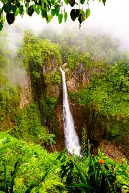 Kosta Rika 'nın Bajos del Toro kentinde güneşli bir günde Saklı Hazine Şelalesi' nin (Tesoro Escondido Şelalesi) güzel bir manzarası.
