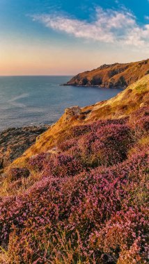 Günbatımında Güney İngiltere 'de doğal bir manzaranın dikey görüntüsü