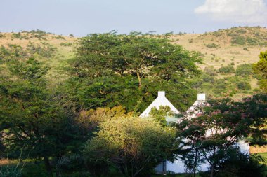 Tarlada ağaçlarla çevrili yalnız bir ev..