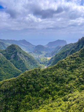 Geniş ve kalın bir orman dağının bulutlu bir gökyüzünün altındaki doğal manzarası.