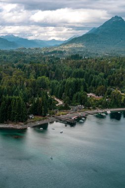 Yoğun ormanın manzaralı, ön planda nehir olan dikey bir görüntüsü.