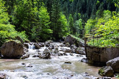 Romanya 'nın dağlarındaki bir ormandaki nehirdeki büyük dokulu taşlardan oluşan güzel bir manzara.