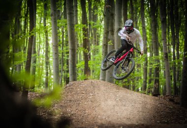 A closeup of a person riding a bicycle in a forest