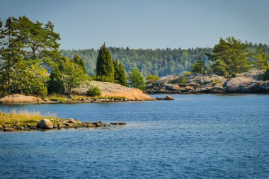 Yeşil bir ormanla çevrili sakin bir gölün manzaralı bir görüntüsü.