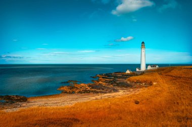 Scurdie Ness deniz fenerinin arka planında sarı otlarla çevrili kayalık bir Montrose sahili.