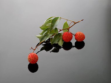 Taze olgun Lychee üzümleri Gri ayna yüzeyinde bir dal üzerinde