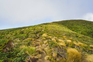 Yeni Zelanda Egmont Ulusal Parkı 'ndaki doğal bir tepe manzarası.