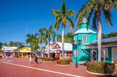 Mavi gökyüzünün altında palmiye ağaçları olan renkli binalar.