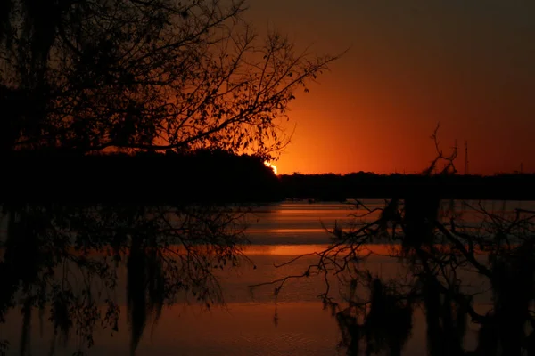 水平線に赤い太陽が沈む夕方の森のシルエット — ストック写真