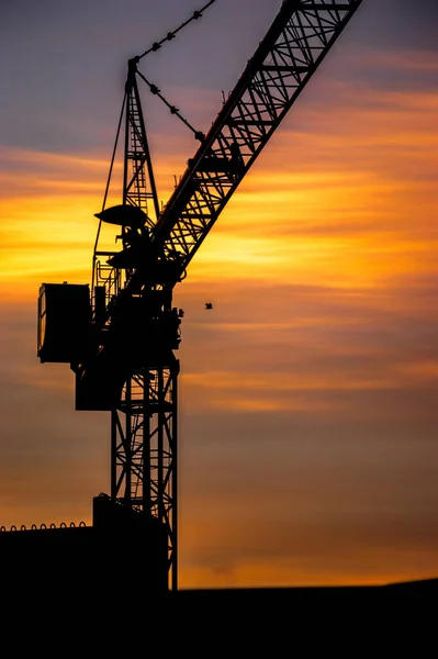 Silhouette Shot Crane Beautiful Dusk Sky Sunset — Stock Photo, Image